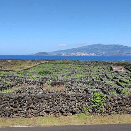 Casa Da Ilha Βίλα Madalena  Εξωτερικό φωτογραφία