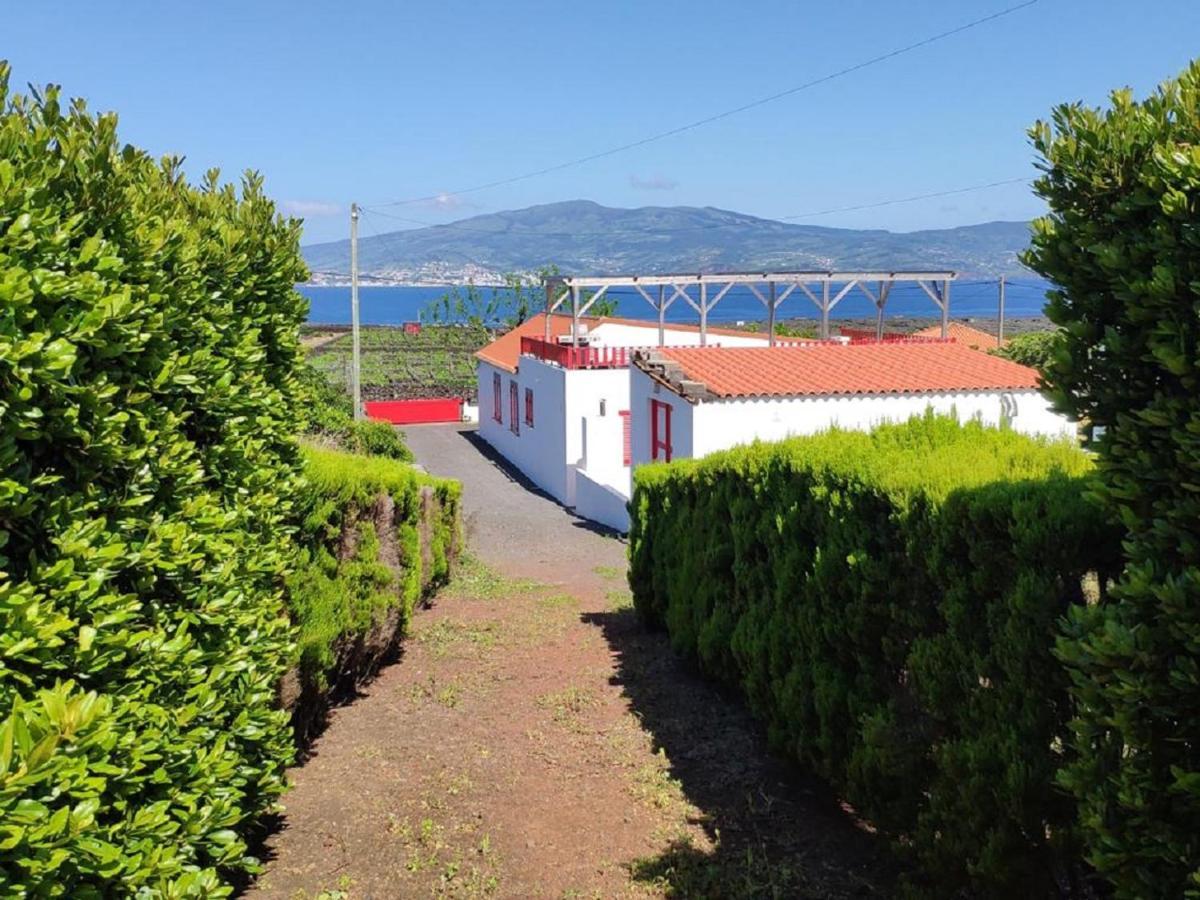 Casa Da Ilha Βίλα Madalena  Εξωτερικό φωτογραφία